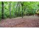 Backyard with mature trees and greenery; view of the forest at 260 Emerald Lake Dr, Fayetteville, GA 30215