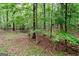 Backyard with mature trees and greenery; view of the forest at 260 Emerald Lake Dr, Fayetteville, GA 30215