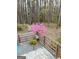 Beautiful backyard with mature trees and flowering shrubs, creating a private oasis at 614 Highway 85 Conn, Brooks, GA 30205
