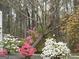 Picture of backyard filled with flowering trees and shrubs at 614 Highway 85 Conn, Brooks, GA 30205