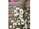 White flowering plant with lush green leaves at 614 Highway 85 Conn, Brooks, GA 30205