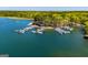 Aerial view of boat docks with boats, surrounded by lush trees and lake water at 294 Clearview Ct, Villa Rica, GA 30180