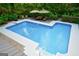 Large in-ground swimming pool with an entertainment area and manicured landscaping at 3644 Graycliff Rd, Snellville, GA 30039