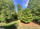 Green backyard with trees and open space at 6680 Bentley Trl, Cumming, GA 30040