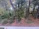 View of lush backyard filled with mature trees, offering privacy and a serene natural setting at 1329 Springwood Nw Dr, Conyers, GA 30012