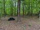 A backyard picnic area surrounded by beautiful greenery at 712 Honeysuckle Ln, Temple, GA 30179