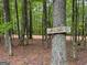 Welcoming scene with a 'Welcome' sign on a tree in a wooded area, providing a serene and inviting atmosphere at 712 Honeysuckle Ln, Temple, GA 30179