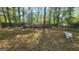 Backyard with grass, leaves, flowers, fence, and trees at 402 Emmett St, Riverdale, GA 30274