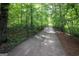 Gated driveway lined with mature trees and lush greenery at 31 Butler Bridge Dr, Mcdonough, GA 30252