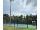 Community tennis court, surrounded by trees at 1129 River Green Ct, Mcdonough, GA 30252