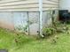 Basement access point with roses and climbing vines, adding a touch of natural beauty to the home's foundation at 625 Locust Rd, Locust Grove, GA 30248