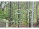 Lush backyard filled with trees and featuring a shed at 460 Morgan Mill Rd, Brooks, GA 30205