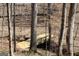 A wooded area with a walking bridge perfect for enjoying nature's beauty at 460 Morgan Mill Rd, Brooks, GA 30205