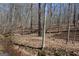 A creek with natural features that runs along the back of the property at 460 Morgan Mill Rd, Brooks, GA 30205