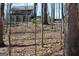 View of the exterior of the home surrounded by a natural woodland setting with mature trees at 460 Morgan Mill Rd, Brooks, GA 30205
