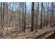 Wooded property featuring lush trees at 460 Morgan Mill Rd, Brooks, GA 30205