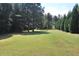 Expansive lawn with privacy trees, perfect for outdoor activities and entertaining at 315 Westbourne Dr, Tyrone, GA 30290