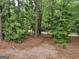 View of the trees in the backyard along a shaded walking trail at 205 Aberdeen Dr, Peachtree City, GA 30269