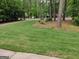 Spacious front yard with fresh cut grass, dotted with mature trees at 205 Aberdeen Dr, Peachtree City, GA 30269