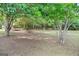Spacious backyard featuring mature trees that provides a serene setting at 115 Linda Way, Fayetteville, GA 30215