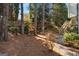 Private backyard with mature trees, garden area and stone pathway leading to the house at 5 Renfroe Ct, Decatur, GA 30030