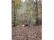 Relaxing backyard space with a fire pit, picnic table, and two playful dogs at 2371 Leguin Mill Rd, Locust Grove, GA 30248