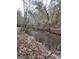 A peaceful creek flowing through the woods surrounded by foliage at 2371 Leguin Mill Rd, Locust Grove, GA 30248