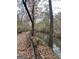 A picturesque creek and woodlands featuring leaves and trees at 2371 Leguin Mill Rd, Locust Grove, GA 30248