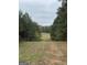 A long, grassy field surrounded by tall, mature trees at 2371 Leguin Mill Rd, Locust Grove, GA 30248