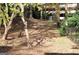 Secluded backyard space features lush greenery and mature trees, offering a private retreat at 32 Highland Ne Dr, Atlanta, GA 30305