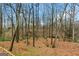 Serene backyard with beautiful trees offering plenty of shade and privacy at 1917 Lake Ridge Ct, Jonesboro, GA 30236