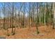 Backyard of the property covered with trees and foliage providing a natural landscape at 1917 Lake Ridge Ct, Jonesboro, GA 30236