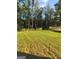 Lush green backyard with mature trees providing ample shade and privacy at 99 Cooperton, Villa Rica, GA 30180