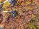 Aerial view of home surrounded by colorful fall foliage at 340 Antebellum Way, Fayetteville, GA 30215