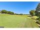 Scenic view of rolling golf course fairways and greens with tree-lined borders at 248 Montrose Dr, Mcdonough, GA 30253