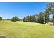 Expansive golf course view featuring lush green grass and mature trees at 248 Montrose Dr, Mcdonough, GA 30253