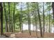 Wooded view from backyard overlooking the lake at 2770 Stonehill Way, Cumming, GA 30041