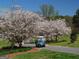 Picturesque community with flowering trees, a golf cart, and lush landscaping at 306 N Meade Dr, Peachtree City, GA 30269