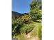 Landscaped backyard featuring shrubbery and a wooden fence, with a shed in the background at 1753 Brenda Dr, Jonesboro, GA 30236