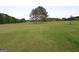 Vast grassy field with mature trees, providing a picturesque and tranquil setting for nature lovers and outdoor enthusiasts at 2647 Mount Carmel Rd, Hampton, GA 30228