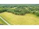 Aerial view of a large, heavily wooded property with green pastures and private driveway access at 290 Weldon Rd, Fayetteville, GA 30215