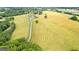 Aerial view of a property with a house and long driveway surrounded by fields and trees at 290 Weldon Rd, Fayetteville, GA 30215