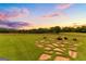 Scenic backyard showcasing well-maintained lawn and mature trees at 290 Weldon Rd, Fayetteville, GA 30215