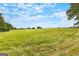 Rolling green pasture with fence line and mature trees under blue skies at 290 Weldon Rd, Fayetteville, GA 30215