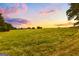 Expansive green pasture at sunset, complete with trees and rustic fencing at 290 Weldon Rd, Fayetteville, GA 30215