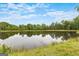 Scenic pond reflecting a clear blue sky with fluffy white clouds and lush greenery at 290 Weldon Rd, Fayetteville, GA 30215