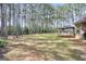 Expansive backyard showcases lush greenery and a charming outdoor seating area, perfect for relaxing and entertaining at 204 Carmell Ct, Mcdonough, GA 30252