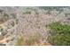 Bird's-eye view of the wooded property with various types of trees and a creek nearby at 203 Shelby Ln, Fayetteville, GA 30215