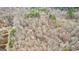 A dense forest of dormant trees as seen from an aerial view at 203 Shelby Ln, Fayetteville, GA 30215