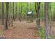 Back lot with a tree stand amid a wooded area at 495 Stonehaven Dr, Fayetteville, GA 30215